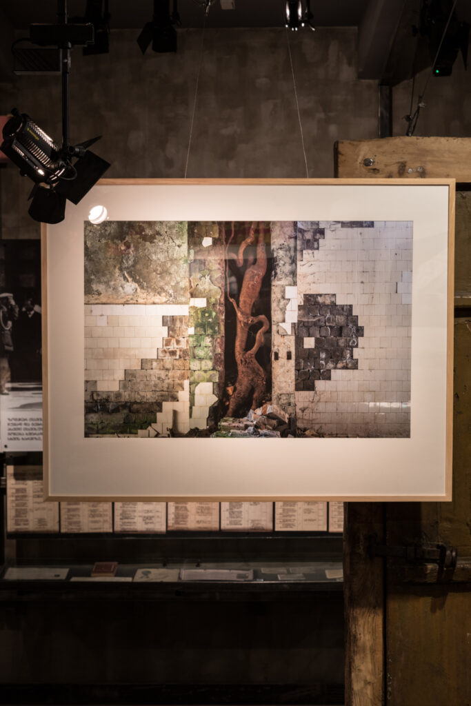 Détail de l’exposition *Resolution of Silence* au Musée national de Géorgie à Tbilissi, avec une photographie d’une cuisine abandonnée dont les canalisations sont envahies par un arbre