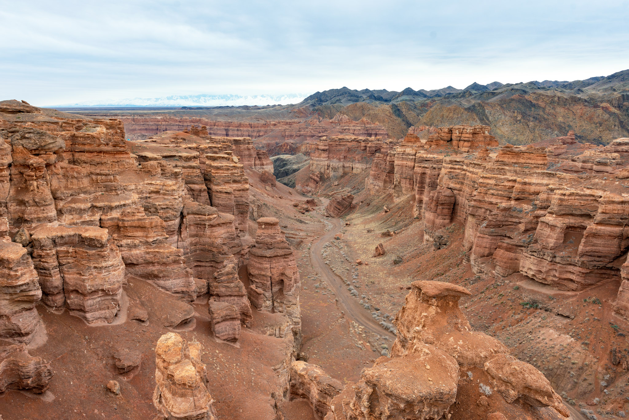 Falaises stratifiées du canyon de Charyn, au loins une chaine montagneuse enneigée