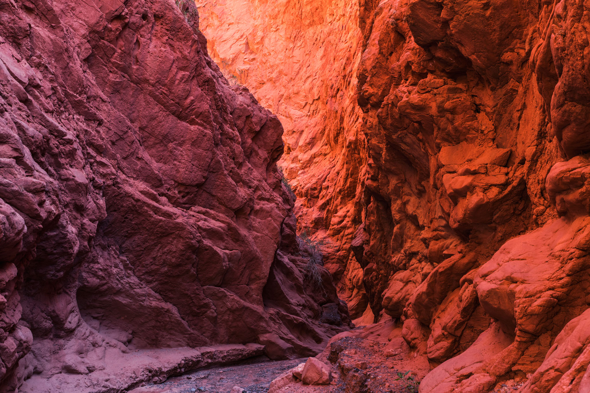 Parois rouges et sinueuses d’un canyon étroit en Argentine