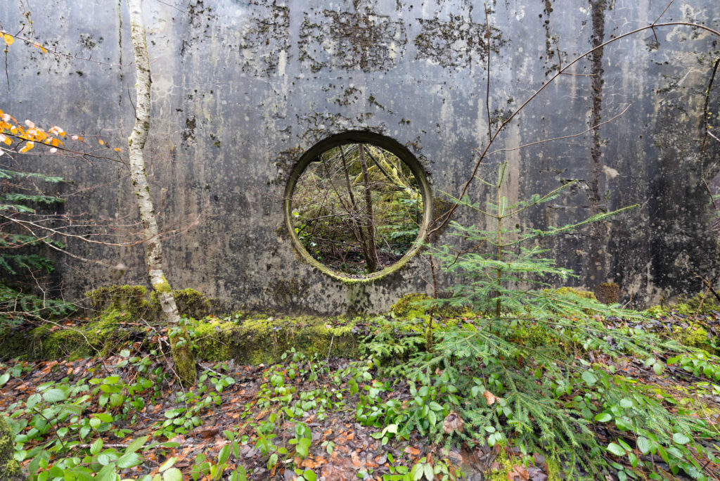 Mur de béton moussu percé d’une ouverture circulaire au milieu d’une forêt vosgienne.