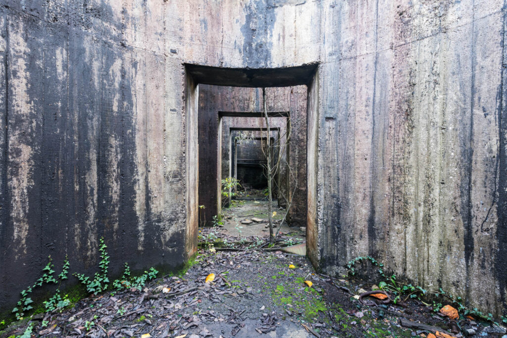 Enceinte courbe en béton, traversée de portes alignées, dans une ancienne aciérie envahie de végétation.
