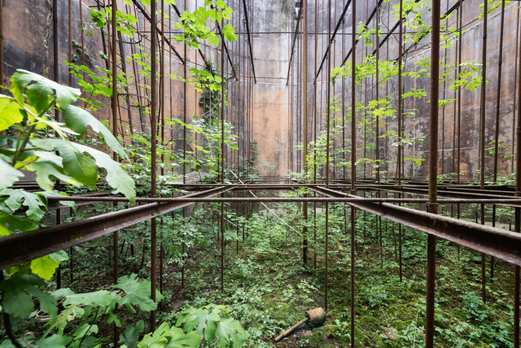 Intérieur d’une cuve de cimenterie où tuyaux rouillés, armatures métalliques et jeunes arbres s’entremêlent.