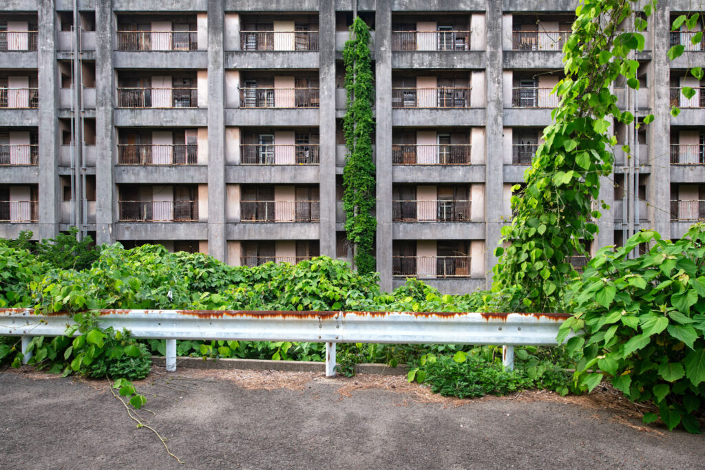 Façade d’un immeuble minier brutaliste d’Ikeshima, longée par une route et escaladée par des lianes.