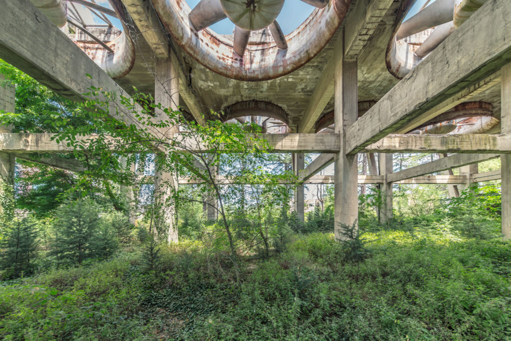 Forêt poussant sous les piliers rayonnants et les ouvertures circulaires d’une ancienne structure de refroidissement