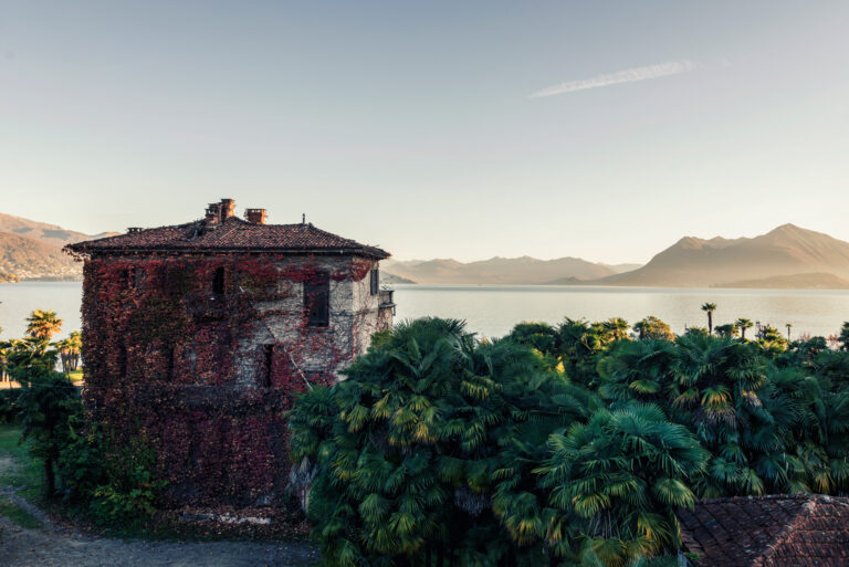 Ancien hôtel couvert de vigne vierge au bord du lac de Côme, avec palmiers, montagnes et lumière du matin en Italie.