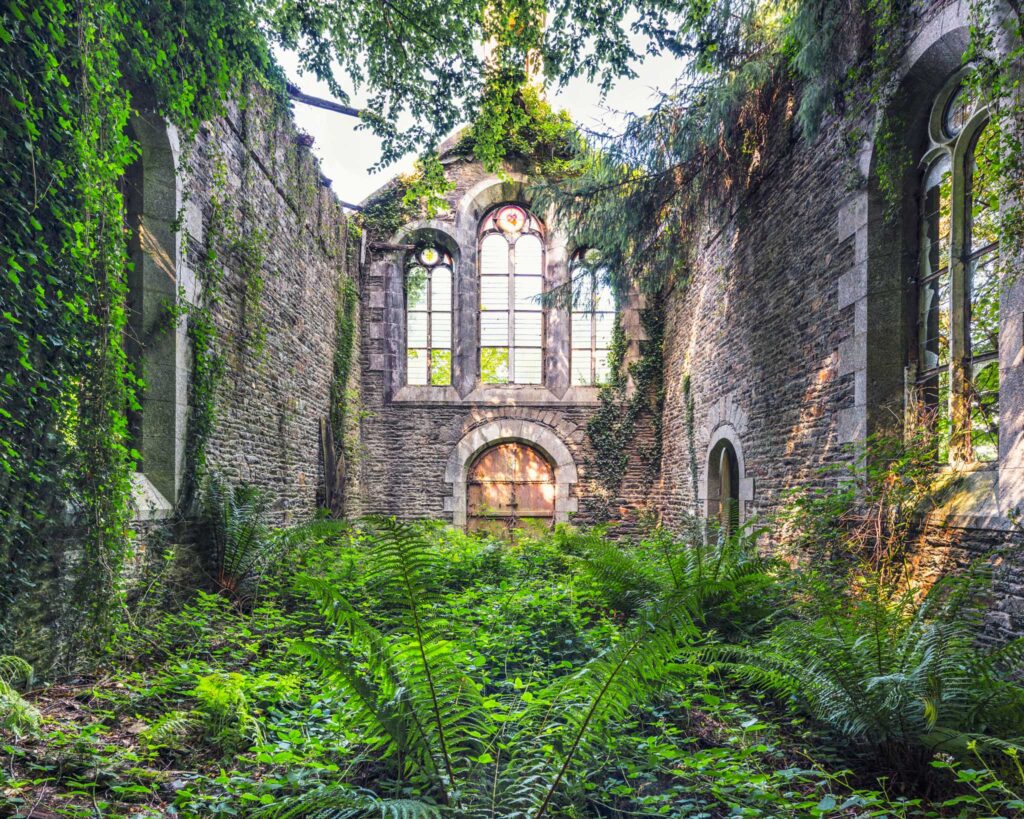 Intérieur sans toiture de la chapelle de la Fonderie du Pas à Lanfains, entièrement envahi de fougères, de lierre et de jeunes arbres