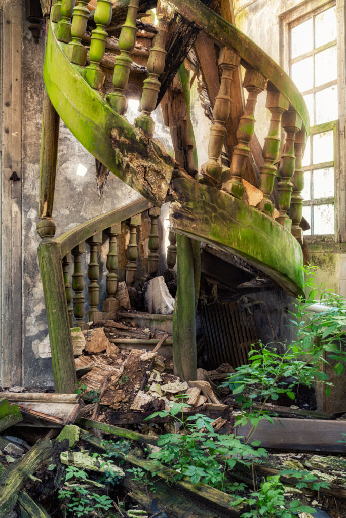 Escalier envahi par la végétation dans le château du Clos des Fées en Normandie avant sa transformation en résidence sociale.