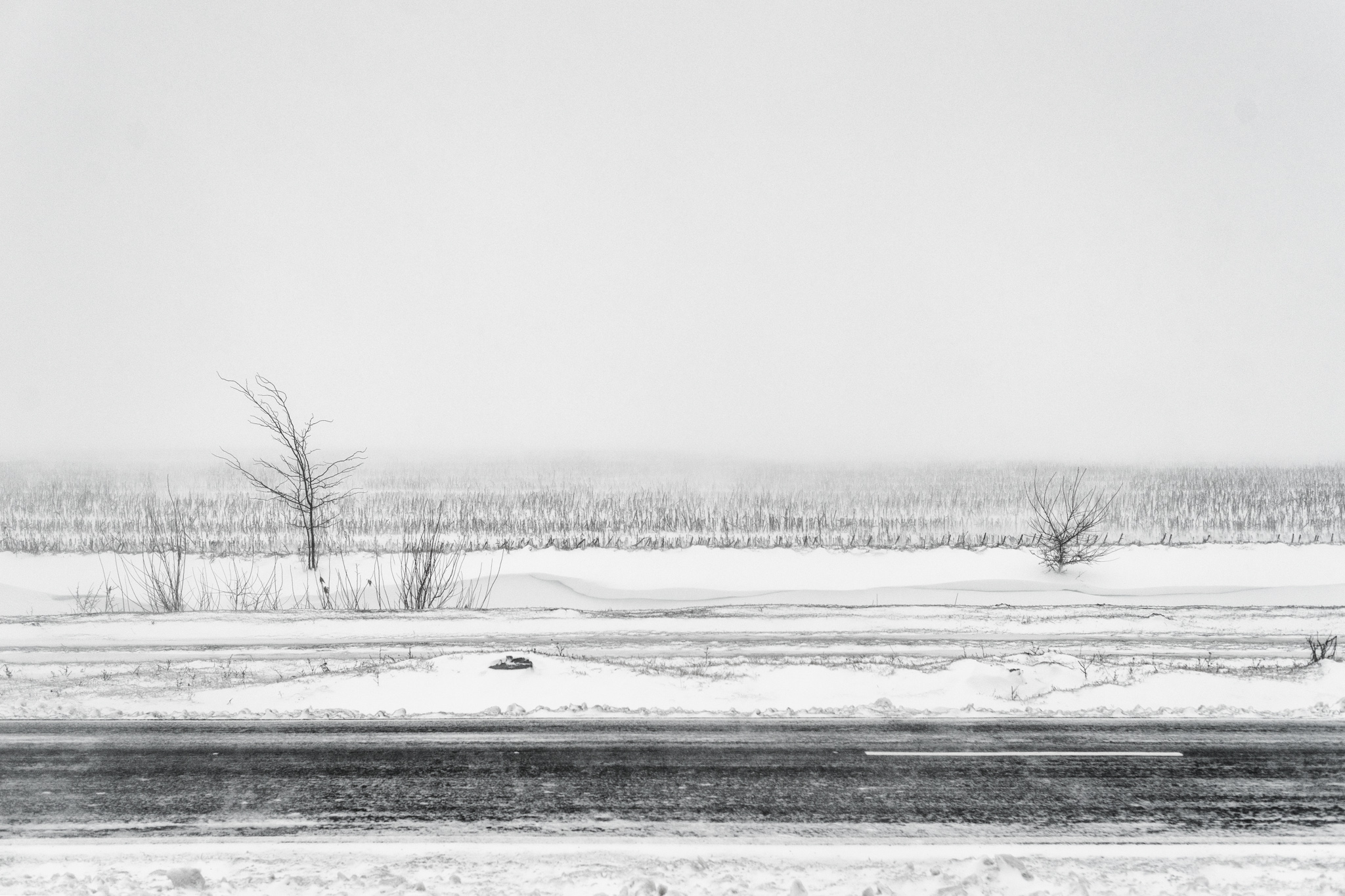 Paysage enneigé de Roumanie vu depuis un train avec route, champs et arbres isolés