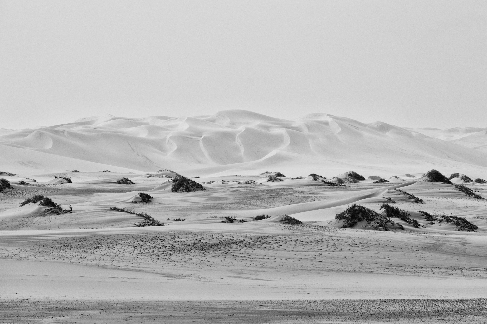 Dunes du désert du Namib avec une végétation sèche disparaissant vers les crêtes