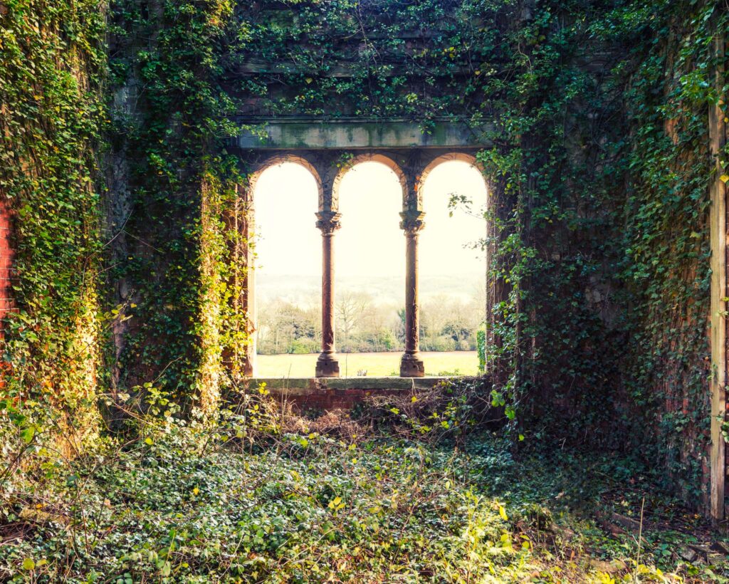 Salle d’un château en ruine en Angleterre, envahie par le lierre et ouverte par une baie tripartite sur un domaine paysager entretenu