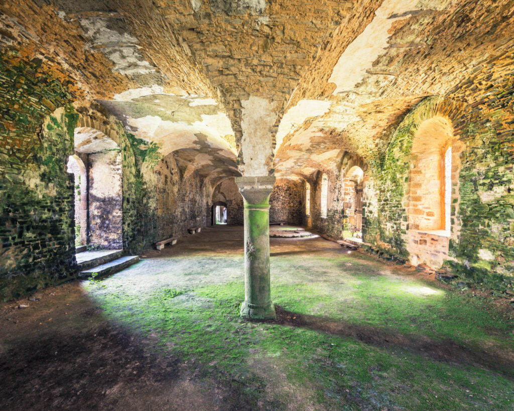 Ancienne salle voûtée en pierre d’une abbaye cistercienne avec pilier central, arches, sol couvert de mousse et lumière latérale